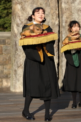 7月17日 USJ 42