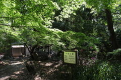 5月14日 長距離散歩 45