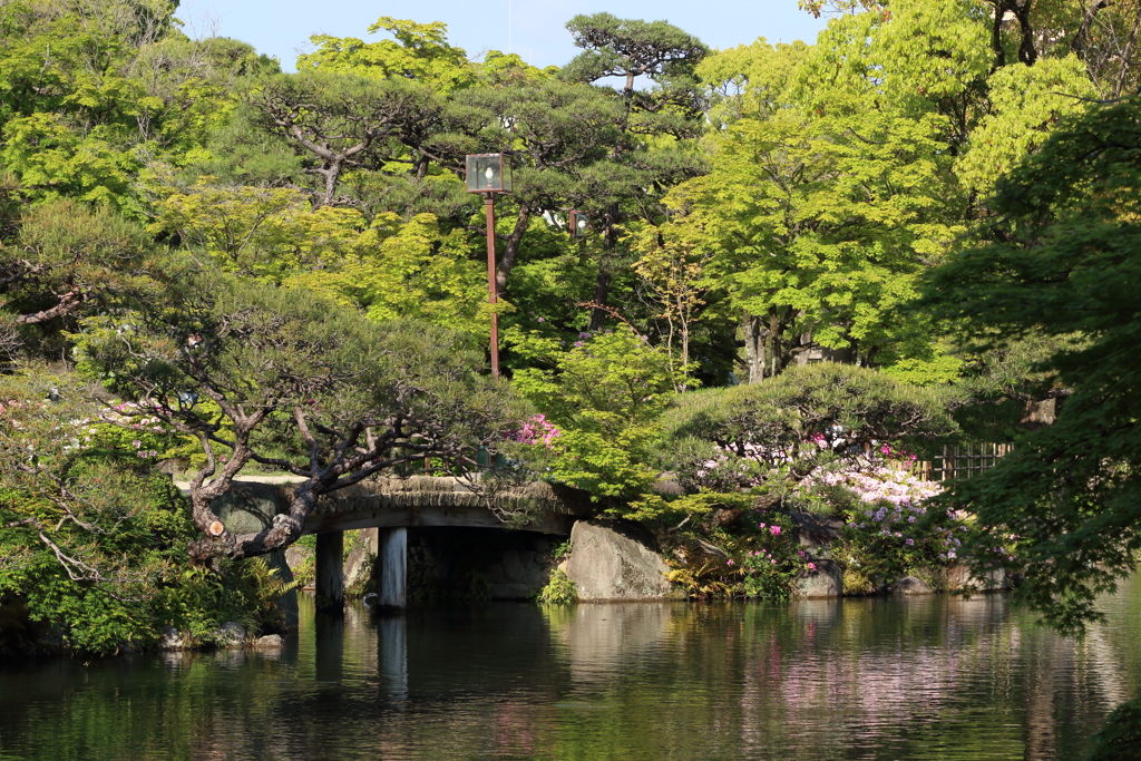 4月24日 相楽園 31
