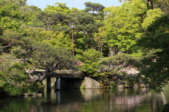 4月24日 相楽園 31