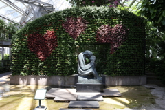 7月22日 布引ハーブ園 18