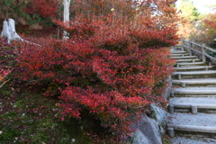 11月23日 京都 42