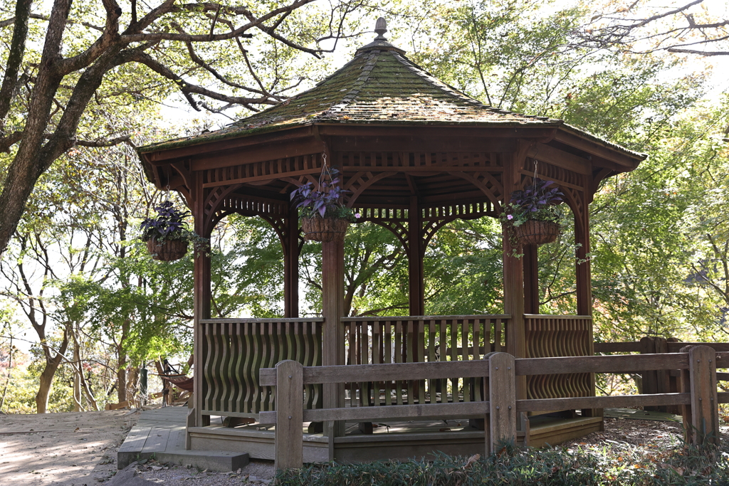 11月14日 布引ハーブ園 11