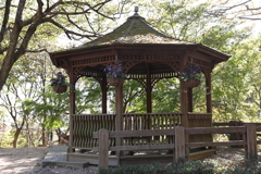 11月14日 布引ハーブ園 11