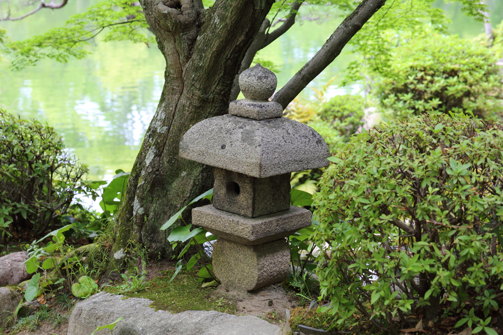 5月18日 相楽園 31