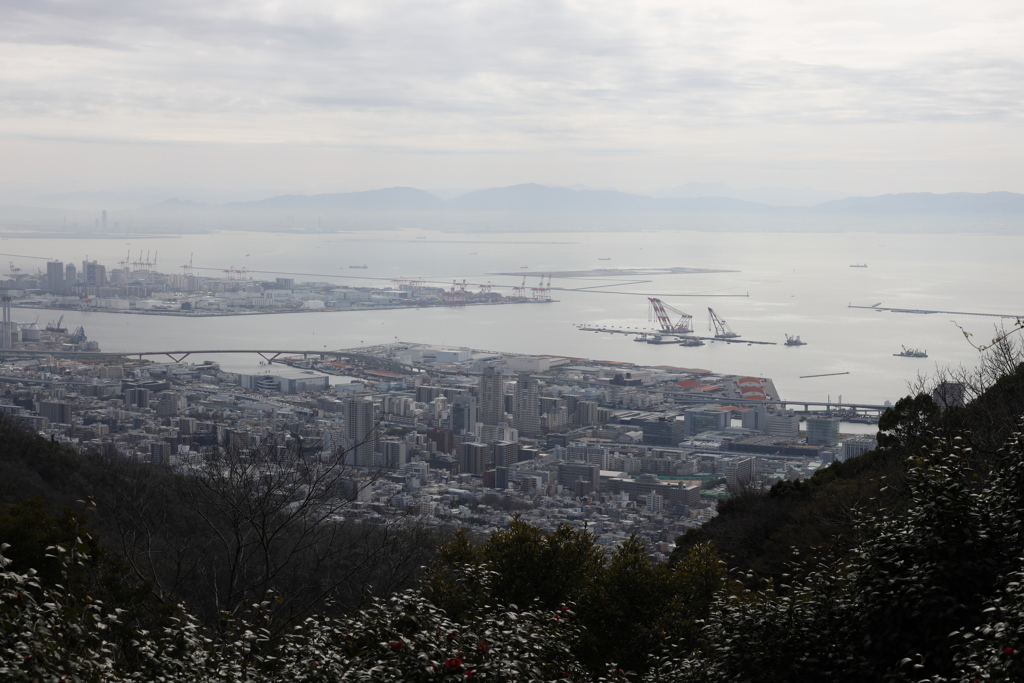 3月20日 布引ハーブ園 ９