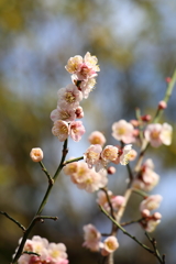 2月23日 岡本公園 ８ 