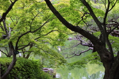 5月18日 相楽園 32