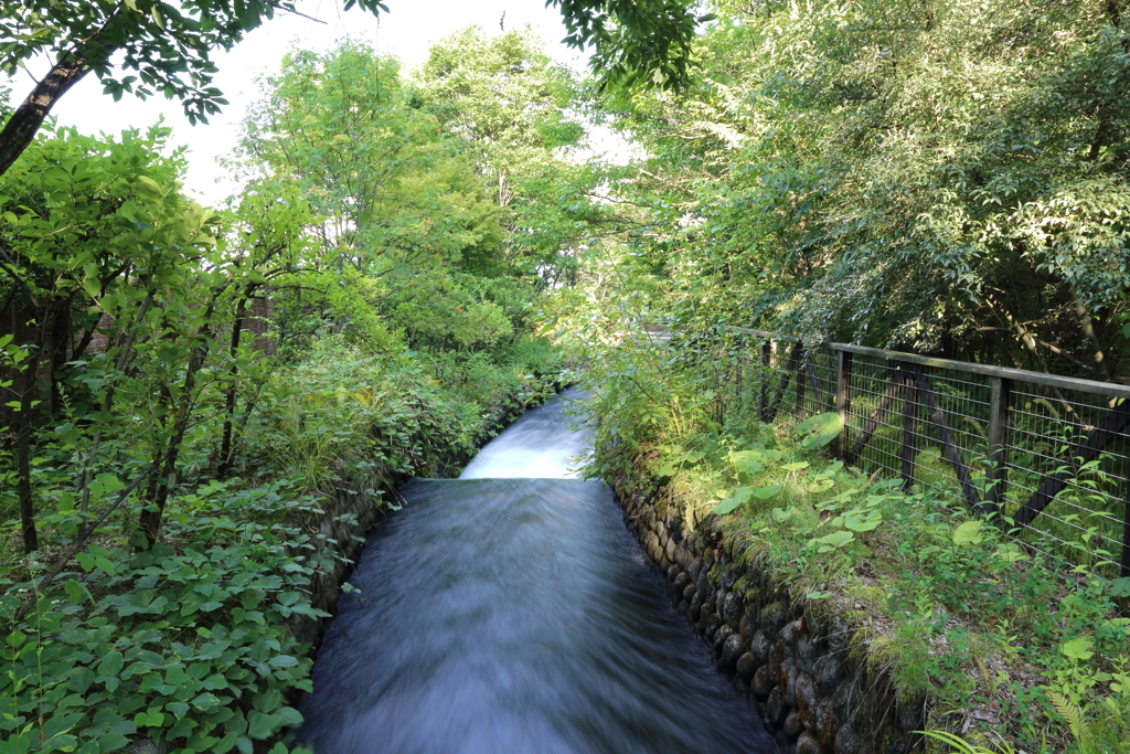 8月10日 松本 53