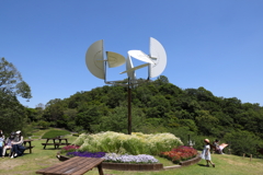 5月28日 布引ハーブ園 63