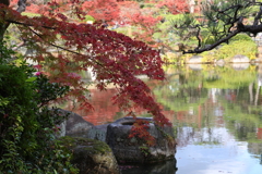 11月28日 相楽園 19