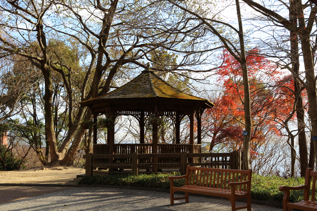 12月15日 布引ハーブ園 10