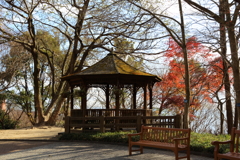 12月15日 布引ハーブ園 10 12月15日 布引ハーブ園 10