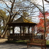 12月15日 布引ハーブ園 10