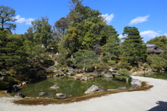 3月20日 京都嵐山 43
