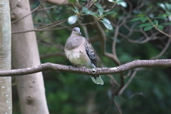 9月19日 明石公園 22