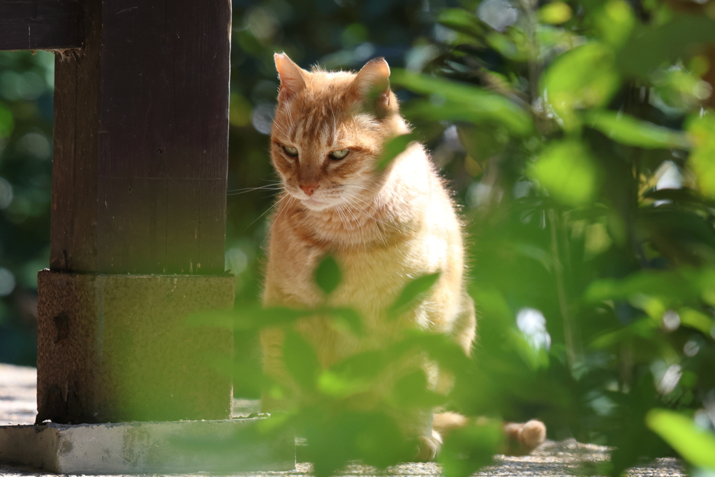 3月5日 明石公園 15