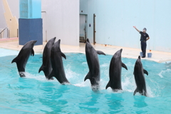 6月11日 須磨海浜水族園 25