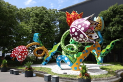 8月13日 松本 164