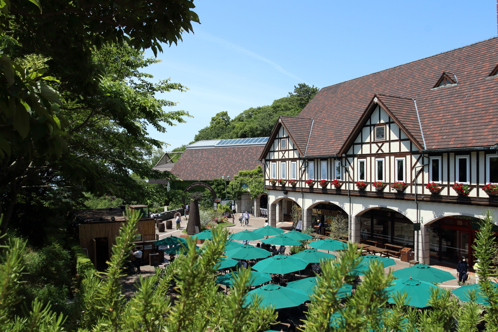 6月9日 布引ハーブ園 13