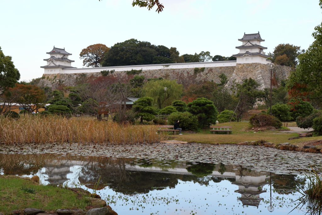 11月14日 明石公園 ３