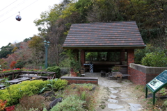 12月7日 布引ハーブ園 22