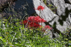 10月2日 明石公園 １