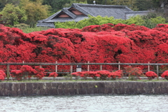 4月18日 長岡天神 ９