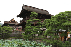 8月12日 善光寺 43