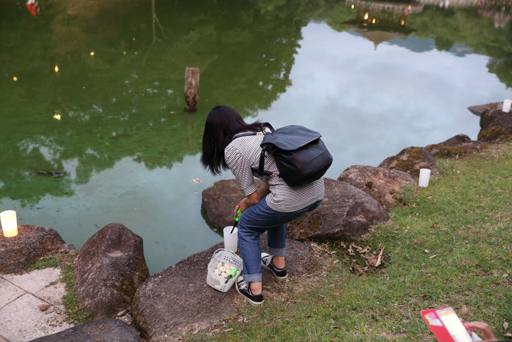 8月5日 なら燈花会 ２