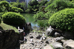8月27日 相楽園 11