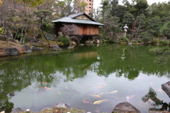 3月6日 相楽園 19