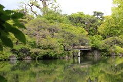 5月18日 相楽園 17