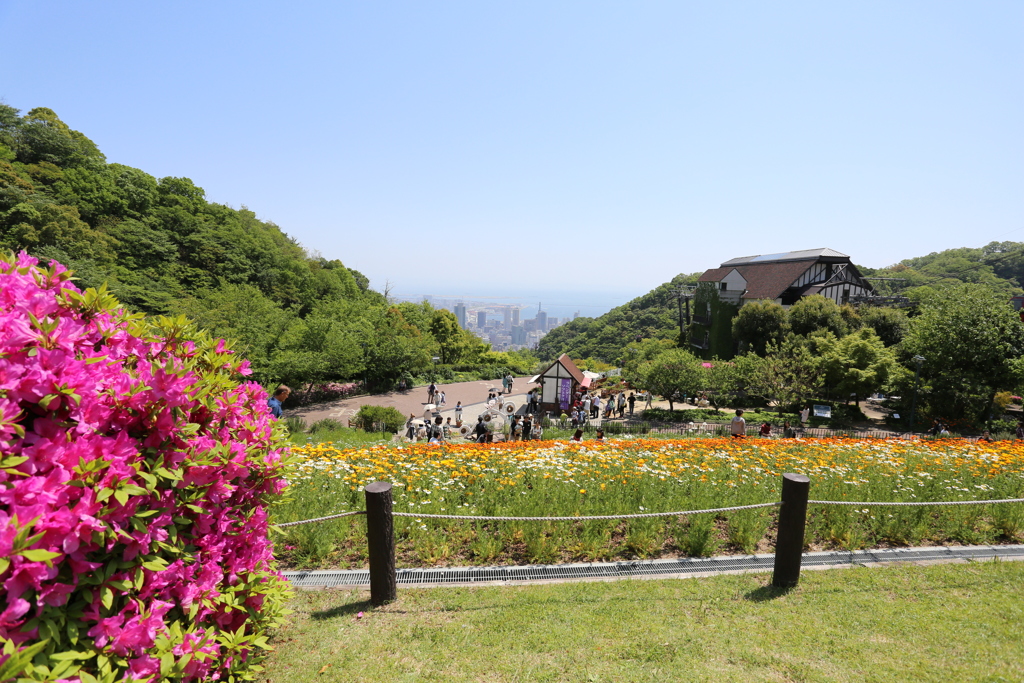 2016年5月4日 布引ハーブ園
