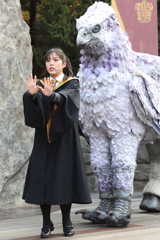 12月7日 USJ ２