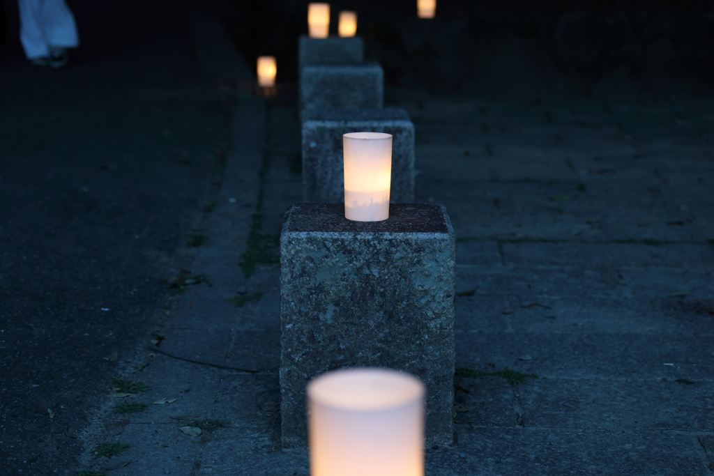 8月8日 なら燈花会 ５