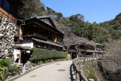 3月12日 箕面公園 ６