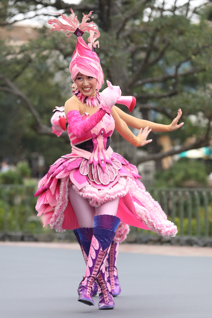 11月22日 東京ディズニーランド 20