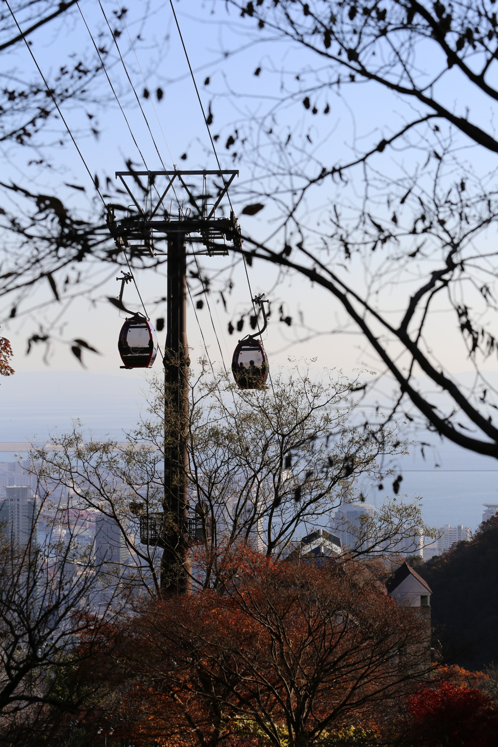 12月2日 布引ハーブ園 ９