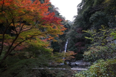 12月7日 布引の滝 38