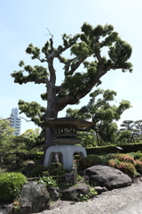 5月23日 相楽園 ６