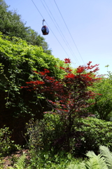 5月28日 布引ハーブ園 61