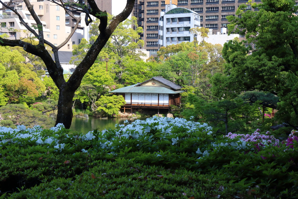 4月24日 相楽園 ９