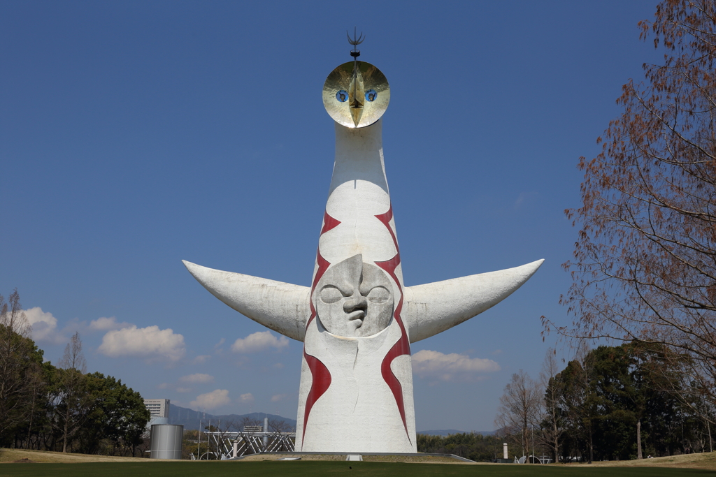 3月19日 万博記念公園 ４
