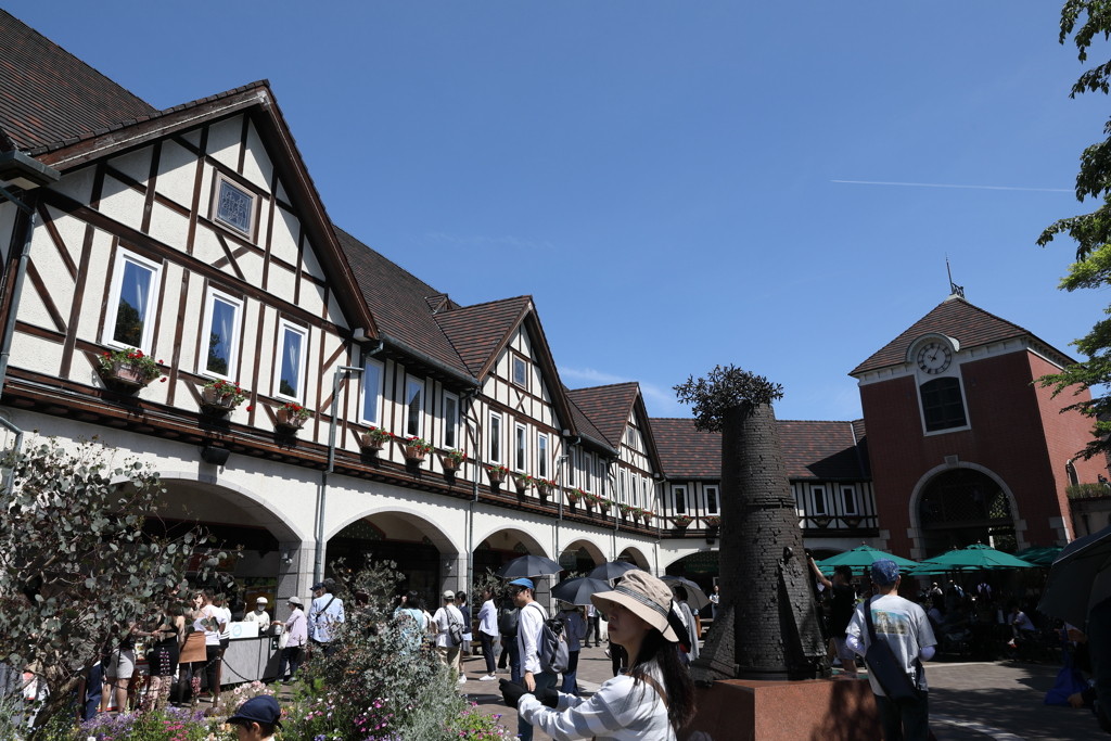 5月5日 布引ハーブ園 ３