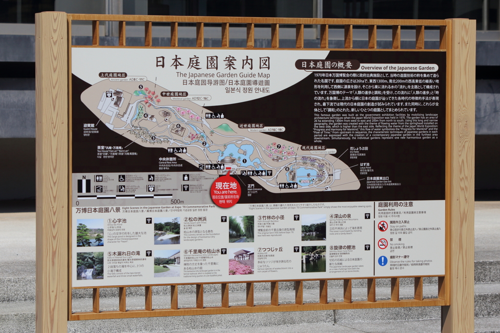 3月19日 万博記念公園 16