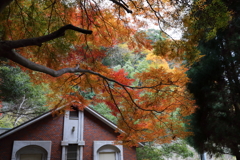 12月7日 布引の滝 23