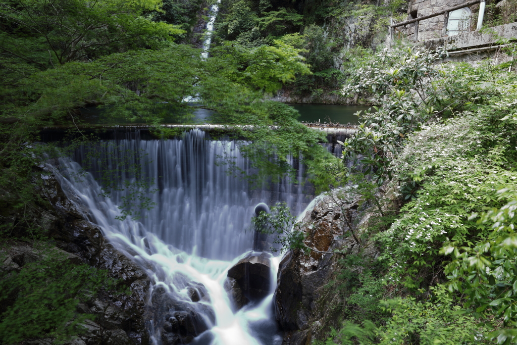5月5日 布引の滝 ９