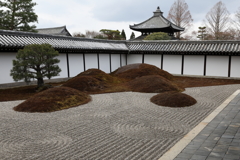 3月28日 京都 ４
