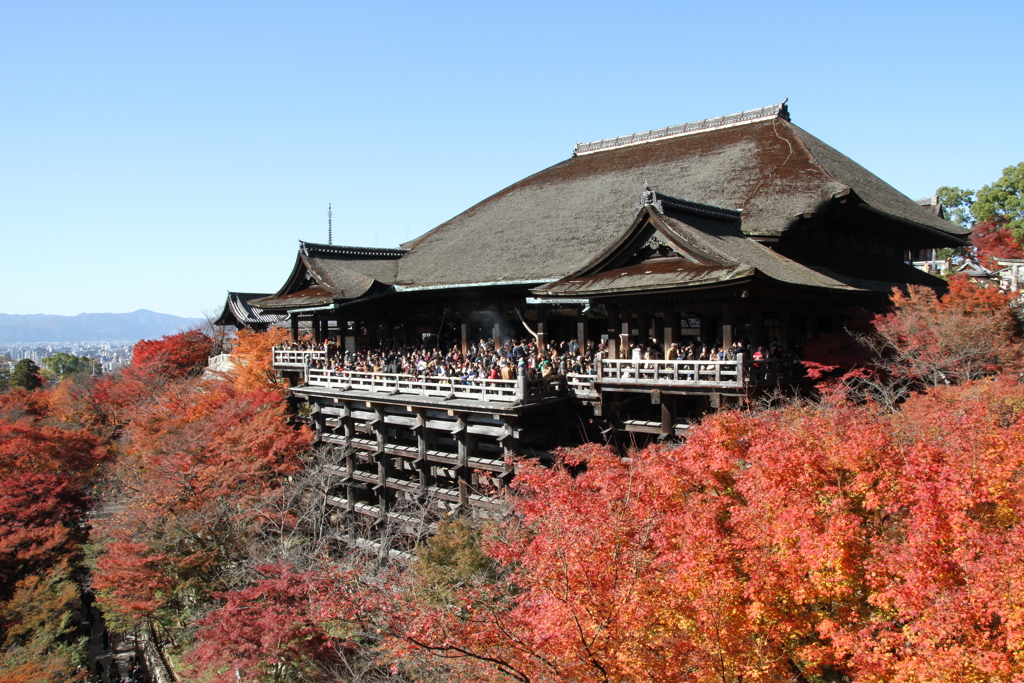 2012年11月25日 清水寺